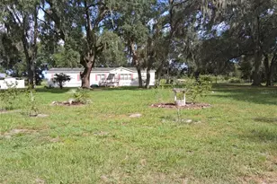 23430 N Austin Merritt Rd, Groveland, FL 34736 - Photo 2