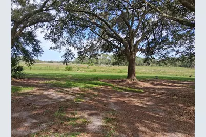 23430 N Austin Merritt Road, Groveland, FL 34736 - Photo 10