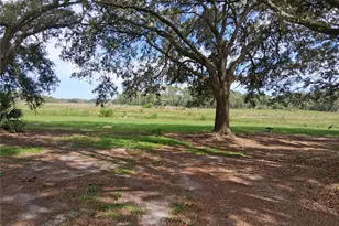 23430 N Austin Merritt Rd, Groveland, FL 34736 - Photo 10