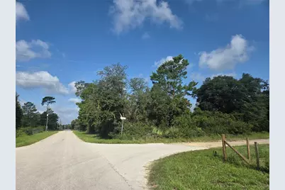 Pine Street, Paisley, FL 32767 - Photo 1