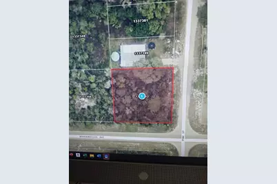 Pine Street, Paisley, FL 32767 - Photo 6