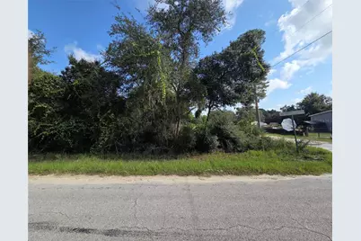Pine Street, Paisley, FL 32767 - Photo 2