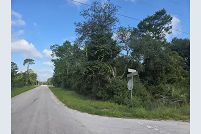 Pine Street, Paisley, FL 32767 - Photo 2