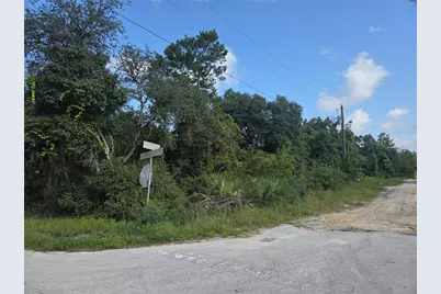 Pine Street, Paisley, FL 32767 - Photo 4