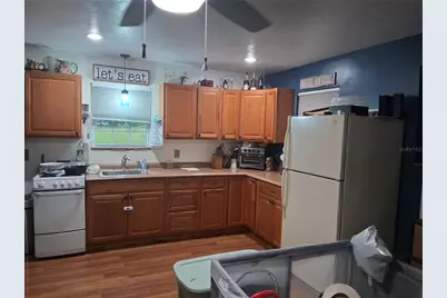 10200 Cr 749, Webster, FL 33597 - Photo 4