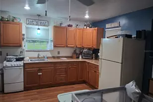 10200 Cr 749, Webster, FL 33597 - Photo 4