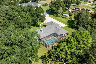 33816 Spring Dr, Leesburg, FL 34788 - Photo 58