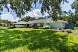 33816 Spring Dr, Leesburg, FL 34788 - Photo 48