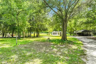 34814 William Ln, Eustis, FL 32736 - Photo 6