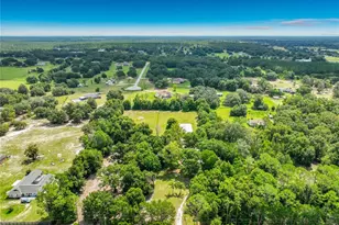 34814 William Ln, Eustis, FL 32736 - Photo 72