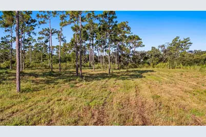 2521 Mills Creek Road, Chuluota, FL 32766 - Photo 16