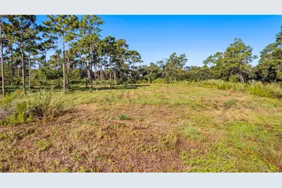2521 Mills Creek Road, Chuluota, FL 32766 - Photo 14