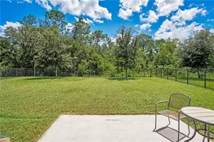 16959 Basswood Ln, Clermont, FL 34714 - Photo 26