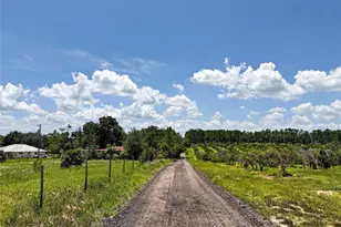 37647 Jenny Ln, Eustis, FL 32736 - Photo 4