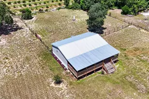37647 Jenny Ln, Eustis, FL 32736 - Photo 6