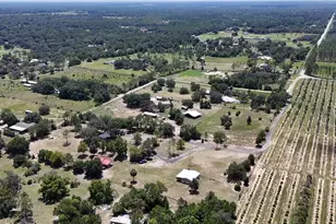 37647 Jenny Ln, Eustis, FL 32736 - Photo 2