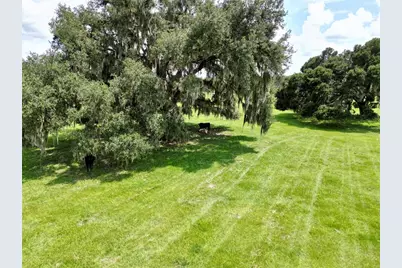 0 W C-478, Webster, FL 33597 - Photo 6