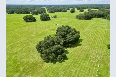 0 W C-478, Webster, FL 33597 - Photo 10
