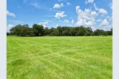 0 W C-478, Webster, FL 33597 - Photo 14