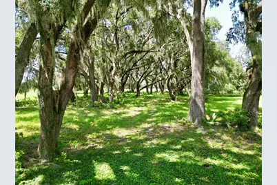 00 C-478 W, Webster, FL 33597 - Photo 4