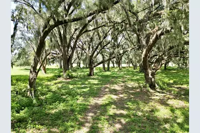 00 C-478 W, Webster, FL 33597 - Photo 6