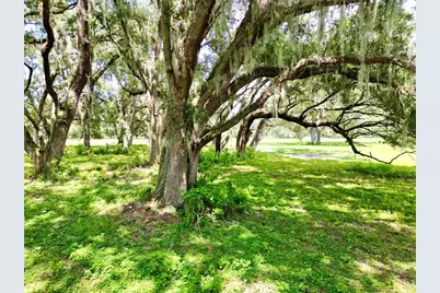 00 C-478 W, Webster, FL 33597 - Photo 10