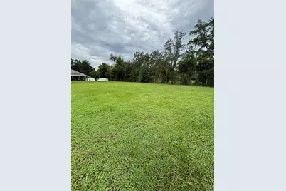 Se 157th Street, Summerfield, FL 34491 - Photo 2