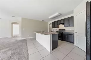 316 Sunny Field Ct, Eustis, FL 32726 - Photo 8