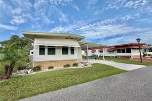 151 Hibiscus Way, Leesburg, FL 34748 - Photo 50