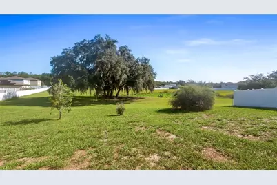 15409 Ivory Gull Lane, Mascotte, FL 34753 - Photo 2