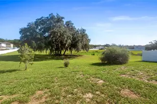 15409 Ivory Gull Ln, Mascotte, FL 34753 - Photo 2