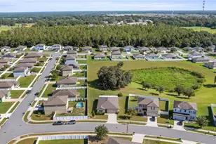 15409 Ivory Gull Ln, Mascotte, FL 34753 - Photo 32
