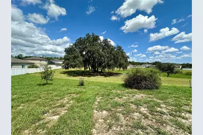 15409 Ivory Gull Lane, Mascotte, FL 34753 - Photo 2