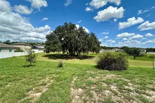 15409 Ivory Gull Ln, Mascotte, FL 34753 - Photo 2
