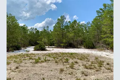 39627 Greenbrier Street, Eustis, FL 32736 - Photo 46