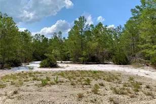 39627 Greenbrier St, Eustis, FL 32736 - Photo 46