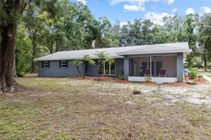 7402 W Knights Griffin Rd, Plant City, FL 33565 - Photo 4