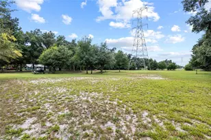 7402 W Knights Griffin Rd, Plant City, FL 33565 - Photo 34