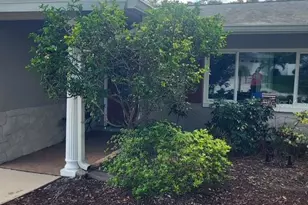 9039 Briarwood Dr, Seminole, FL 33772 - Photo 2