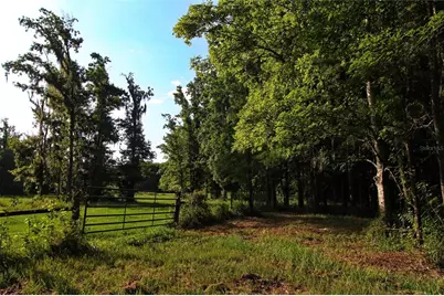 Tbd Cr 526, Sumterville, FL 33585 - Photo 20