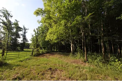 Tbd Cr 526, Sumterville, FL 33585 - Photo 22