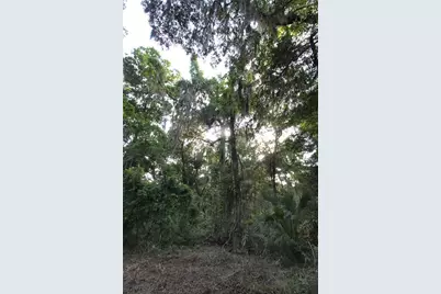 Tbd Cr 526, Sumterville, FL 33585 - Photo 24