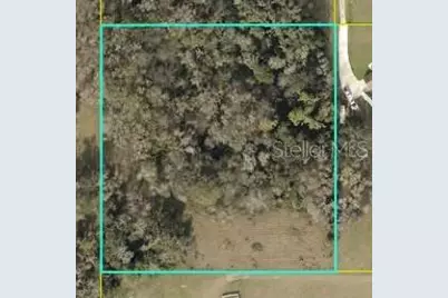 Tbd Cr 526, Sumterville, FL 33585 - Photo 2