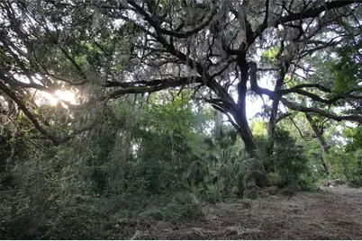 Tbd Cr 526, Sumterville, FL 33585 - Photo 36