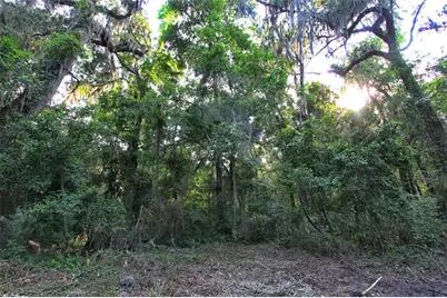 Tbd Cr 526, Sumterville, FL 33585 - Photo 26