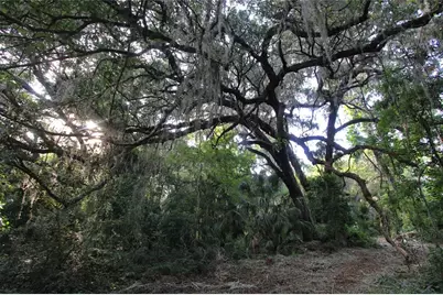 Tbd Cr 526, Sumterville, FL 33585 - Photo 38