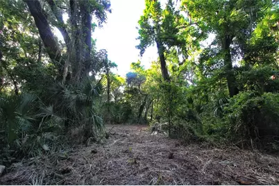 Tbd Cr 526, Sumterville, FL 33585 - Photo 30