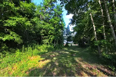 Tbd Cr 526, Sumterville, FL 33585 - Photo 14