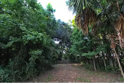 Tbd Cr 526, Sumterville, FL 33585 - Photo 10