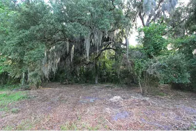 Tbd Cr 526, Sumterville, FL 33585 - Photo 1